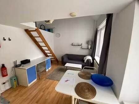 lumineux appartement 1 chambre en mezzanine meublé