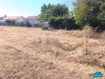 vente terrain à saint-christophe-du-ligneron (85670) : à vendre / 900m² saint-christophe-d