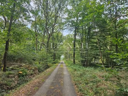 intéressante forêt à vendre de 61 ha en haut-anjou