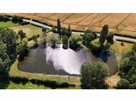 vente terrain 13955 m² saint-laurent-de-la-salle (85410)
