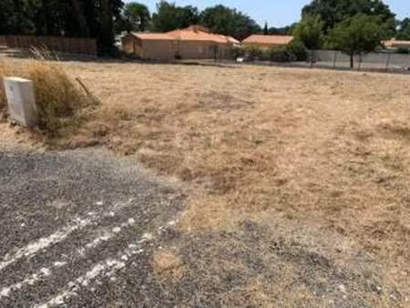 vente terrain à challans (85300) : à vendre / challans