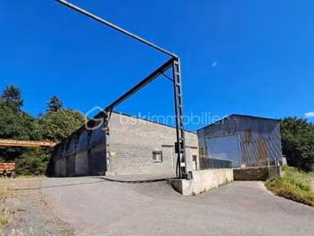 vente terrain à parigné (35133) : à vendre / 12729m² parigné