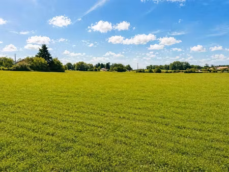 vente terrain 1500 m² à saint-saud-lacoussière (24470)  17 000 €
