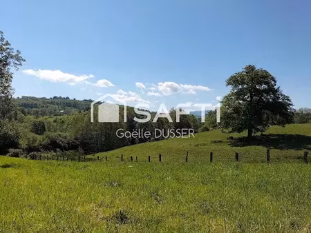 vente terrain à batir 1505 m² à la chapelle (03300)  19 500 €