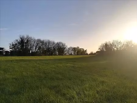 vente terrain 4700 m² à coulgens (16560)  6 000 €