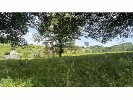 vente terrain 1482 m² à sainte-fortunade (19490)  27 500 €