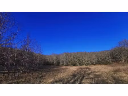 vente terrain 4700 m² à cazals (46250)  35 000 €