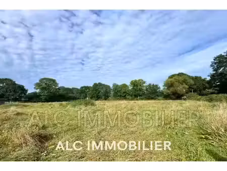 vente terrain 1505 m² à villaines-la-carelle (72600)  43 990 €