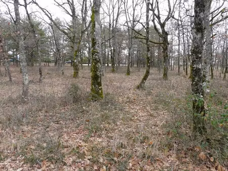 vente terrain à batir 2956 m² à flaugnac (46170)  51 000 €