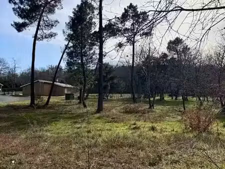 vente terrain 1260 m² à casteljaloux (47700)  62 950 €