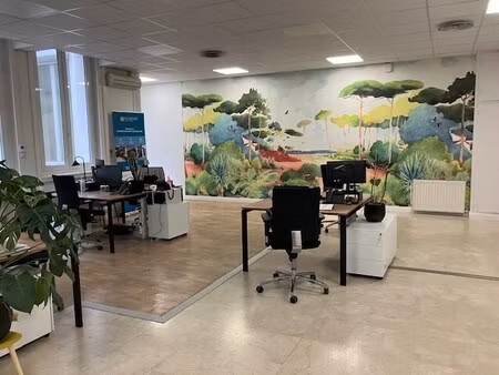 location commerce lyon 69006 225m²