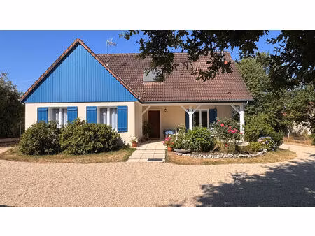 vente maison 9 pièces  173.00m²  la chapelle