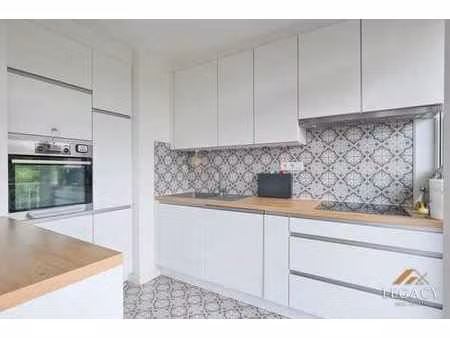appartement 2 ch totalement rénové avec 2 terrasses !