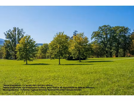 vente terrain 500 m² à vulaines-sur-seine (77870)  145 000 €