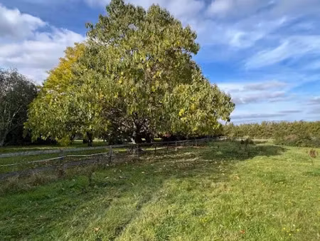 vente terrain 419 m² à thoiry (78770)  145 000 €