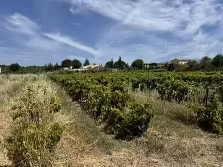 vente terrain 927 m² à mazan (84380)  169 000 €