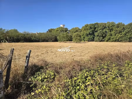 vente terrain à batir 5762 m² à chasseneuil-du-poitou (86360)  178 128 €