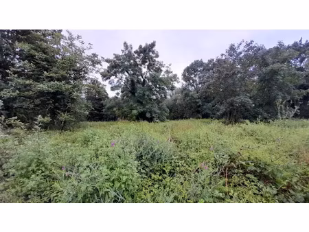 vente terrain 1666 m² à gif-sur-yvette (91190)  225 000 €