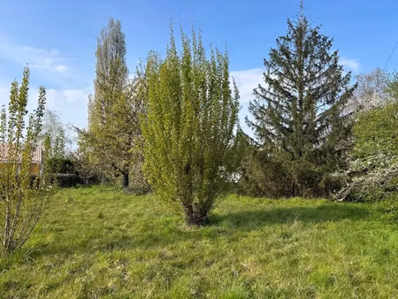 vente terrain 796 m² à lège-cap-ferret (33950)  230 000 €
