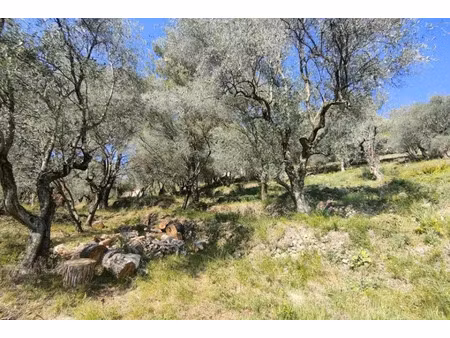 vente terrain 1129 m² à saint-martin-du-var (06670)  210 000 €