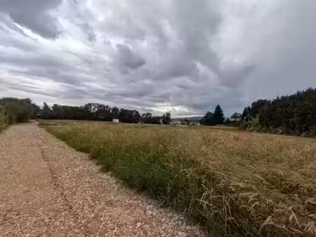 vente terrain 556 m² à lissieu (69380)  259 000 €