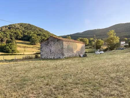 vente locaux professionnels 2 pièces 45 m² à aveux (65370)  52 000 €