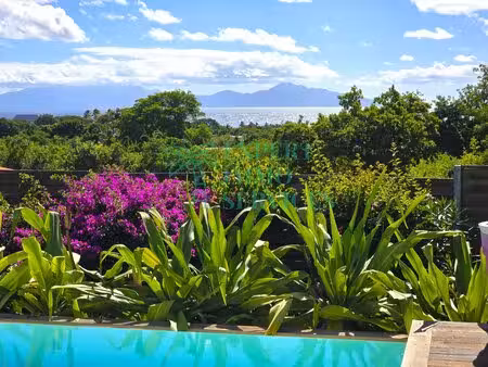 superbe créole 5 pièces  piscine  vue mer  état irréprochable