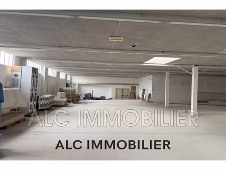 vente locaux professionnels 0 pièces 883 m² à mamers (72600)  147 000 €