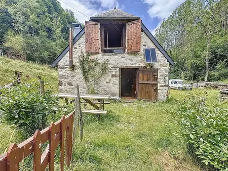 vente locaux professionnels 2 pièces 110 m² à campan (65710)  177 000 €