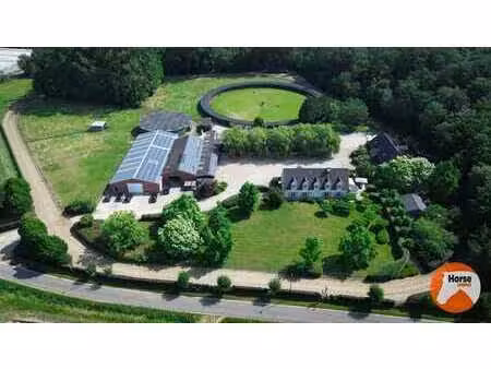 merelbeke - professioneel paardencomplex op 3 35ha
