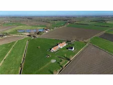 authentique maison de campagne rénovée dans les polders avec