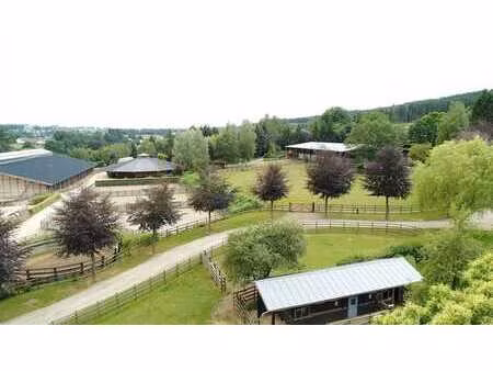 centre d'élevage et d'entraînement de chevaux sur plus de 80