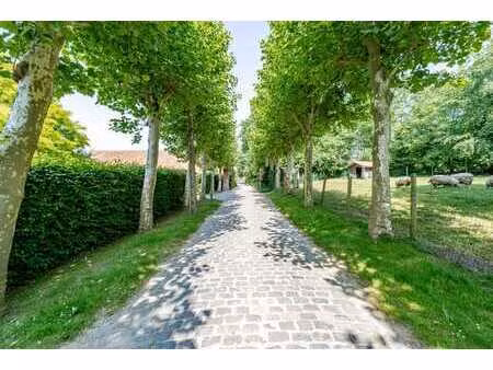zonnebeke