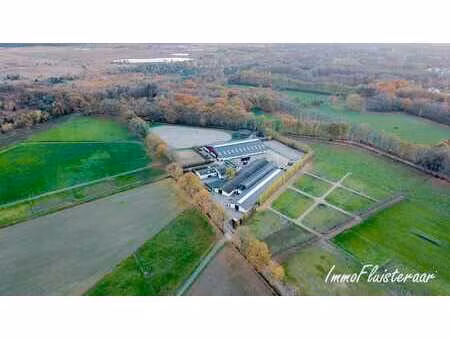 complexe équestre exclusif avec d'excellentes installations