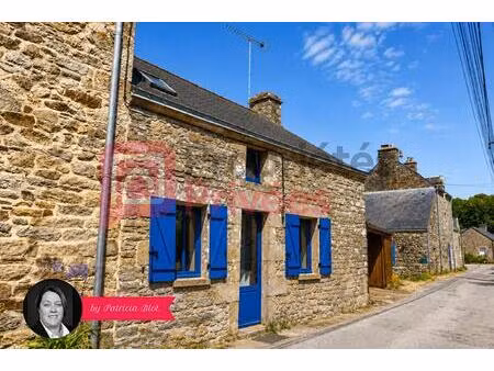 maison avec terrasse située dans un hameau - 59 m² habitables