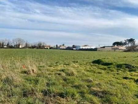 vente terrain à vieillevigne (44116) : à vendre / vieillevigne