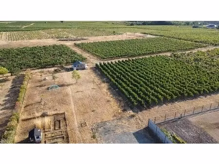 vente maison 4 pièces 86 m² bellevigne-en-layon (49750)