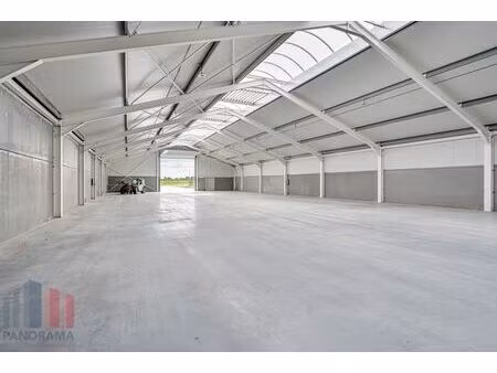 commercieel te huur in wichelen