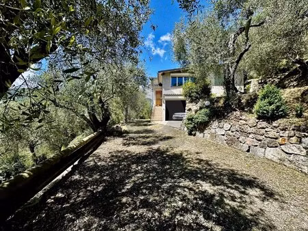 sospel maison + studio terrain