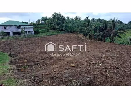 terrain plat de 700 m² au lorrain