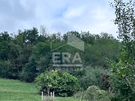 terrain 0 pièces 1500 m² à vendre / acheter castillon-en-couserans 09800 ? | era immobilie