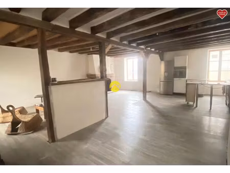 vente maison 9 pièces 210 m² nérondes (18350)