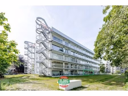rez-de-chaussée à vendre à edward de denestraat 4 assebroek (rwc43020)