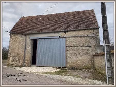 vente commerce 1 pièce 235 m² lucenay-le-duc (21150)