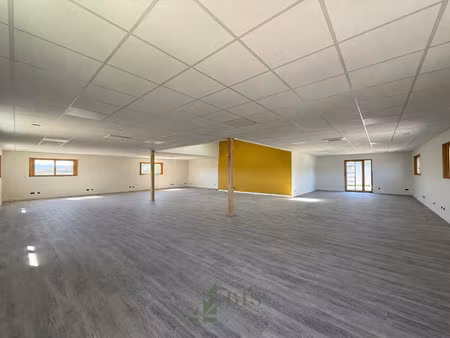 location local professionnel 218m² st vincent de boisset 42120