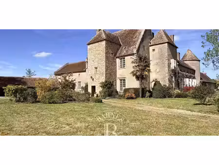 château saint-amand-montrond (18)