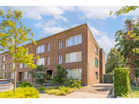 huis te koop in turnhout met 9 slaapkamers