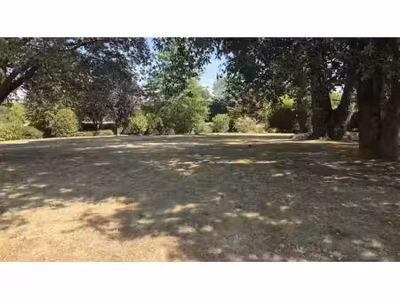 terrain