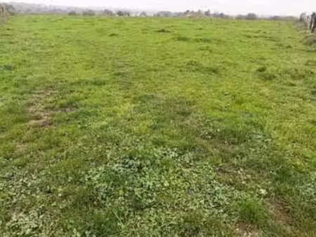 vente terrain à candé (49440) : à vendre / 790m² candé