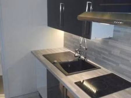 location appartement t1 meublé à fontainebleau (77300) : à louer t1 meublé / 23m² fontaine